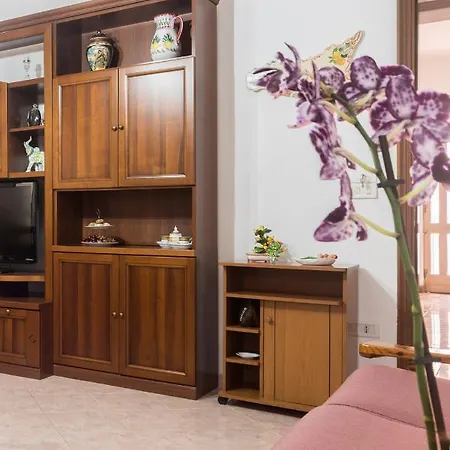 Nina - Selfcheck-in *